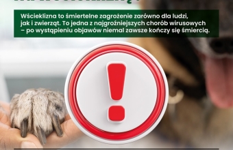 ZWIERZ-szczepienia-plakat-jpg