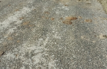 IMG_20250416_091301