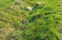 IMG_20250416_090740